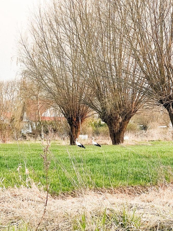Apartmán Siedlisko Nad Nogatem Jazowa  Exteriér fotografie